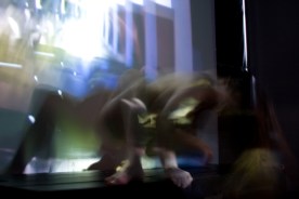 20170305-_MG_003205 mars 2017